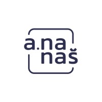 Ananas It Solutions logo - Similar company to Railship Service