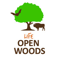LIFE Open Woods logo - Similar company to Coastal Life