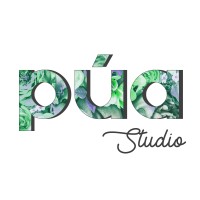 Pua Studio logo - Similar company to Aigest Proyectos Slp