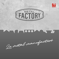 Metal Factory Swiss logo - Similar company to Ehc Wetzikon