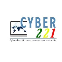 Cyber221 logo - Similar company to Cybercode Africa