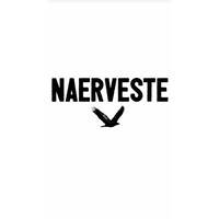Naerveste Detachering logo - Similar company to Vesta Personeelsdiensten B.V.