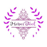 Hebei Feel Trading CO.,LTD logo - Similar company to Shenzhen Merrynice Cosmetic Utensil Co.,Ltd