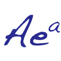 Albert Einstein Academy Arizona logo - Similar company to Copper Sky Academy