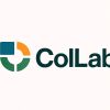 Tasha Borderless ColLab logo - Similar company to Linkvision