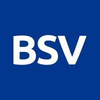 BSV Blockchain logo - Similar company to Timechain Labs