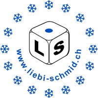 Liebi + Schmid AG logo - Similar company to Minischoggi Gmbh