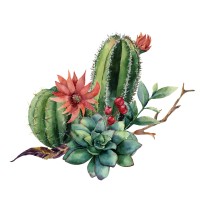 Natural Awakenings Magazine -- Phoenix Az Edition