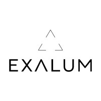 EXALUM logo - Similar company to Colors Lighting
