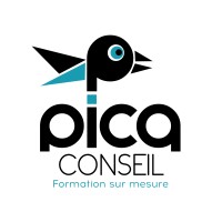 Pica conseil logo - Similar company to Humeng