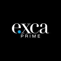 EXCA Prime logo - Similar company to Dxone