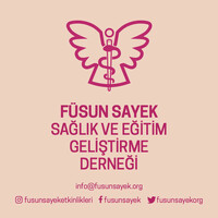 Füsun Sayek Sağlık ve Eğitim Geliştirme Derneği logo - Similar company to Talebeyiz Biz
