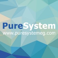 Pure System logo - Similar company to Pure Variants