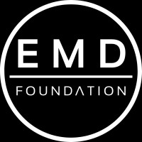 Elevate MD Foundation, Inc. logo - Similar company to Elevate Md