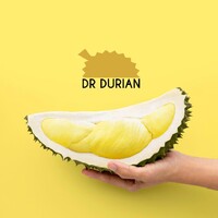 Dr. Durian logo - Similar company to Durian Tunggal Solution