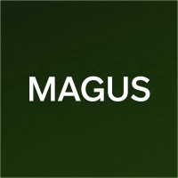 MAGUS logo - Similar company to Magus