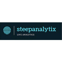 SteepAnalytix logo - Similar company to Enlight Wisdom