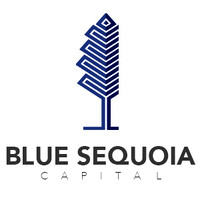 Blue Sequoia Capital logo - Similar company to Octalia