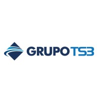 GRUPO TS3 logo - Similar company to Grupo Tsi