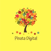 Pinata Digital logo - Similar company to Widefocus Technologies