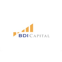 BDI Capital logo - Similar company to Insightq Consulting Group