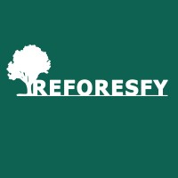Reforesfy logo - Similar company to Kaylon Energías Renovables