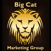BigCatMarketingGroup.com logo - Similar company to Xena Interactive