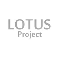 Lotus Project Vietnam logo - Similar company to Lotus Project