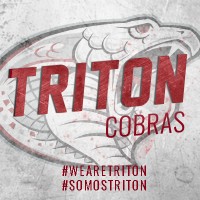 Triton Public Schools logo - Similar company to Phoenix High Temperature Repair