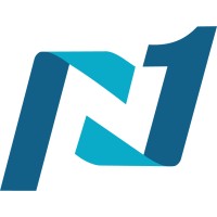 Network 1 Consulting logo - Similar company to Bridge Technology Operations