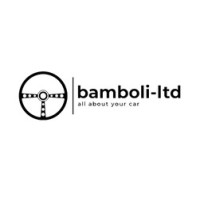Bamboli Ltd logo - Similar company to Z Auto Place Llc