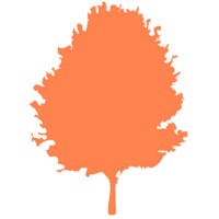 Maple Insight logo - Similar company to Consolidated Risk Solutions