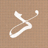 Dokmeh Design Studio logo - Similar company to Digargoon Transformation Agency