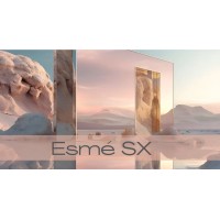 Esmé SX logo - Similar company to Mindmics