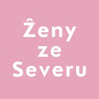 Ženy ze Severu logo - Similar company to Transformers Team