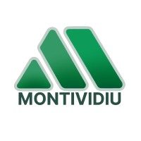 Mineração de Calcário Montividiu logo - Similar company to Ouro Branco Calcário
