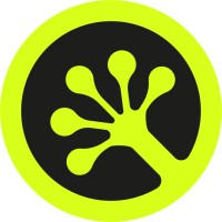 Geckos Games logo - Similar company to Tedooo