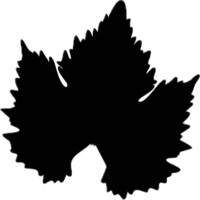 Raebstock logo - Similar company to Praesent Media