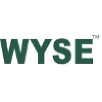 WYSE INDUSTRIAL (SHENZHEN)CO.,LTD logo - Similar company to Babylon Pump & Power Limited