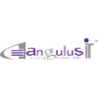 Angulus IT Services Private Limited logo - Similar company to Apex Knowledge, Llc.