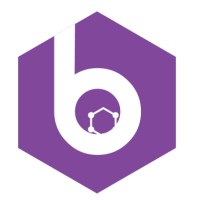 Boltzmann Labs logo - Similar company to Vizzhy