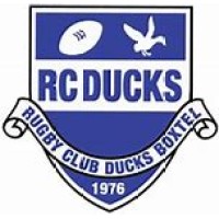 RC Ducks logo - Similar company to Xqant