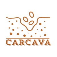 CARCAVA logo - Similar company to Oleo Mitiga
