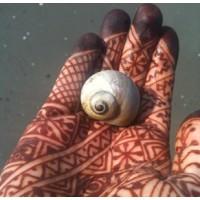Henna Inspired: Artwork and Design by Karyn Alzayer logo - Similar company to Mehendi Art