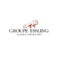 Groupe ESSLING logo - Similar company to S&C Consulting