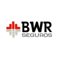 BWR Seguros logo - Similar company to Prospera Consultoria