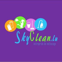 SkyClean logo - Similar company to Xxadvies