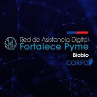 Red de Asistencia Digital Fortalece Pyme Biobío logo - Similar company to Centro Para La Industria 4.0 - C4I