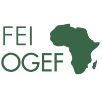 FEI Off-Grid Energy Access Fund logo - Similar company to Izy'Work