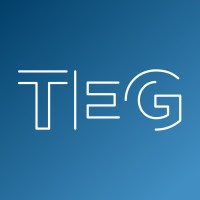 The Engineering Group NV logo - Similar company to Dd Engineering